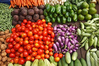 Various vegetables at vegetable market. India