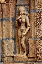 Bas reliefes in Hindu temple. Sri Ranganathaswamy Temple. Tiruchirappalli