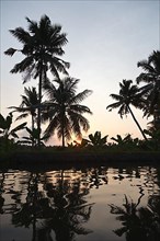 Sunset on Kerala backwaters. Kerala