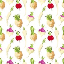 Vegetables roots pattern over white background