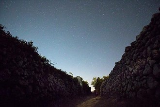 Sky with stars and shooting stars above typical path through olive plantation with dry stone wall at night