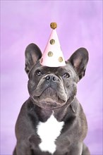 Black French Bulldog dog wearing birthday party hat on violet background