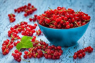 Redcurrant red currant berries in bowl on kitchen table