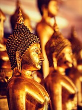 Vintage retro effect filtered hipster style image of golden Buddha statues in buddhist temple Wat Saket