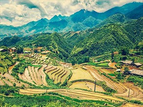 Vintage retro effect filtered hipster style image of rice field terraces