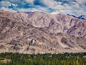 Vintage retro effect filtered hipster style image of Thiksey gompa and Himalayas. Ladakh