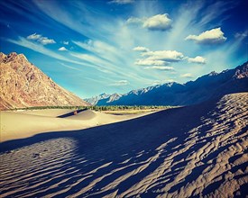 Vintage retro effect filtered hipster style image of sand dunes in Nubra valley in Himalayas. Hunder