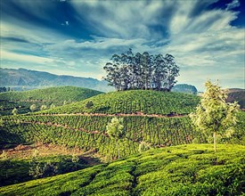 Kerala India travel background