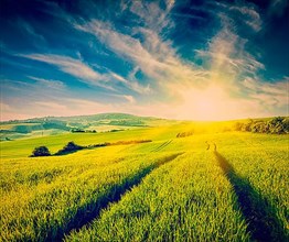 Vintage retro effect filtered hipster style image of dramatic sunset in fields of Moravia