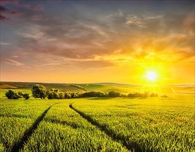 Beuatiful sunset in fields of Moravia