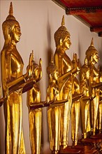 Standing golden Buddha statues close up. Wat Pho temple