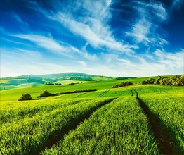Vintage retro effect filtered hipster style image of Green fields of Moravia with blue sky