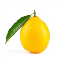 Yellow lemon with leaf isolated on white background