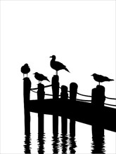 Seagulls silhouettes standing on a pier