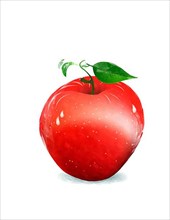 Watercolor style drawing of a red apple against white background