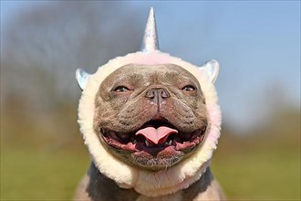 Portrait of smiling French Bulldog dog wearing cute costume unicorn headband