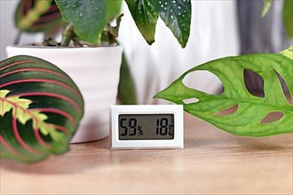 Hygrometer and thermometer device to measure humidity and temperature for houseplants