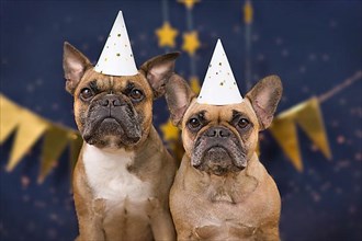 Pair of cute French Bulldog dogs wearing New Years Eve party celebration hats in front of blue background decorated with golden garlands