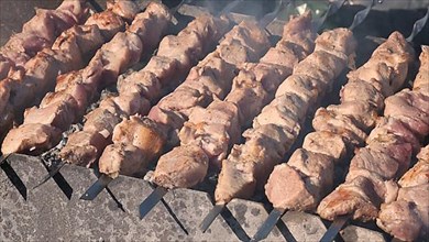 Process of cooking yummy shashlik in nature. Delicious food on metal skewer in bbq. Kebab