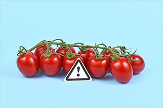Concept for unhealthy or toxic substances in food like pesticide residues or allergies with warning sign in front of tomatoes on blue background