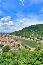 View over Neckar river