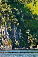 Primary forest on almost vertical rock face with waterfall on Cocos Island