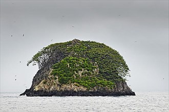 Small forested rocky island off Cocos Island