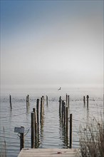 Fishing jetty in the fog