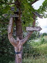 Signpost on a tree near the Hainich nature reserve