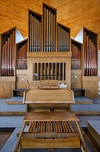 The organ