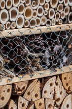 Insect hotel with artificial nesting possibilities for solitary bees in hollow bamboo trunks and drilled holes in wooden trunks as well as cavities between pine cones for hibernating ladybirds
