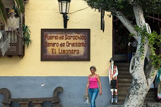 Centro de Artesania El Limonero