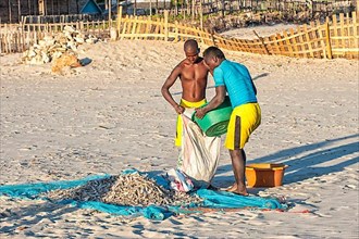 Malagasy fishermen collect dried fish on the beach
