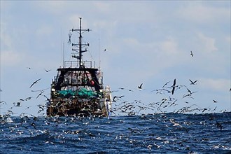 Deep-sea trawler being followed by seabirds at sea