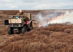 Gamekeepers burning heather on moorland to encourage new growth for grouse