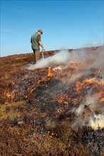 Gamekeepers on a hunting ground burning moorland to provide a good habitat for grouse