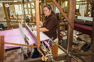 Thai woman weaving silk