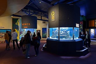 Interior of the 2 Ocean Aquarium