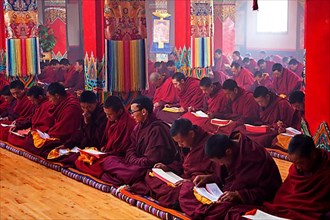 Young Tibetan monks say mantras and meditate at Dzogchen Gompa