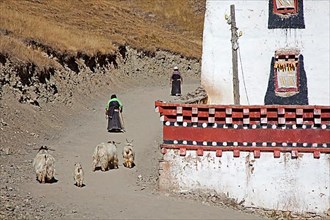 Tibetan pilgrims in Sershu village