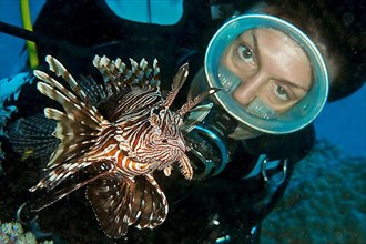 Diver and lionfish