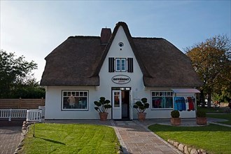 Fashion shop Different thatched Frisian house