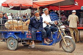 Uyghur farmers with a motorised cart loaded with sheep at the cattle market in Kashgar