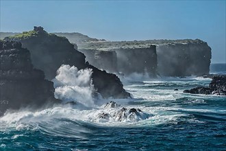 Breakwater on the coast of Hispanola Island