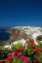 Oia