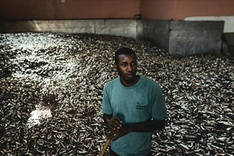 Workers in front of a mountain of sardines in front of processing at the Turkish Atlantic Proteine factory