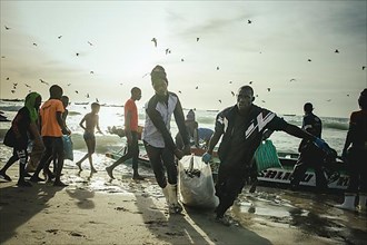 Arrival of the fishermen with sardines in the late afternoon