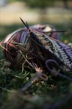 Knitted piece with knitting needles in a meadow