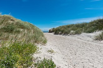 Heligoland dune