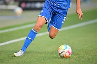 Robert Skov TSG 1899 Hoffenheim on the ball